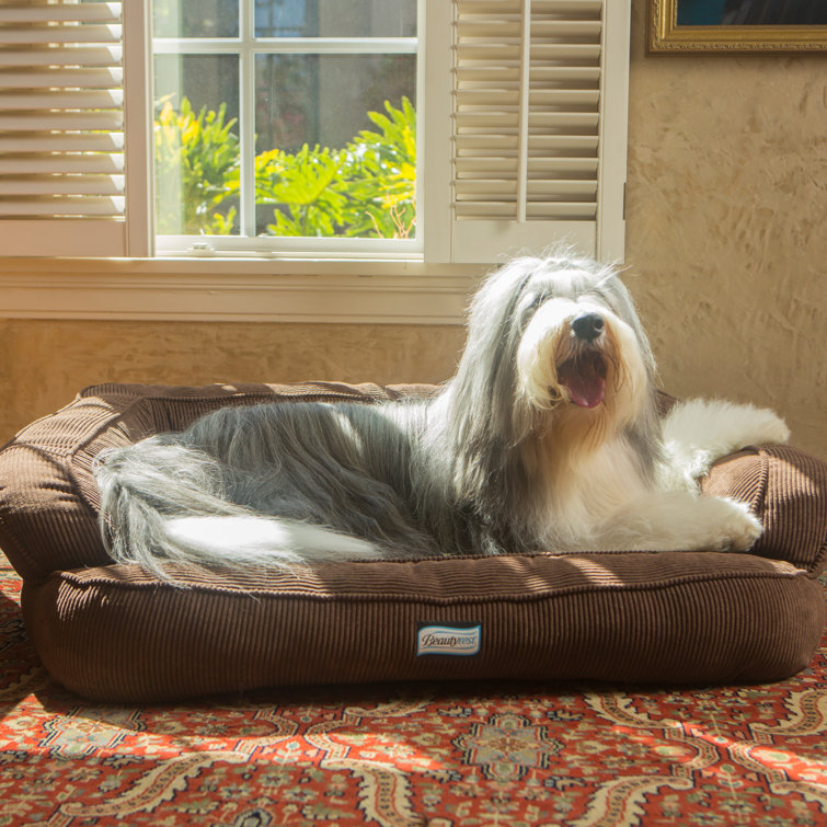 R2PPetLtd. Beautyrest Colossal Rest Extra Large Bolster Dog Bed